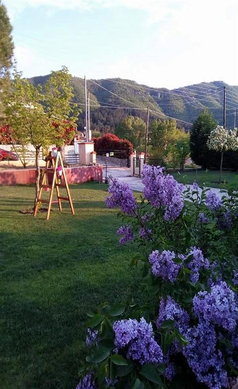 Kavala Villa 360 Degrees Green Amisiana Exterior foto